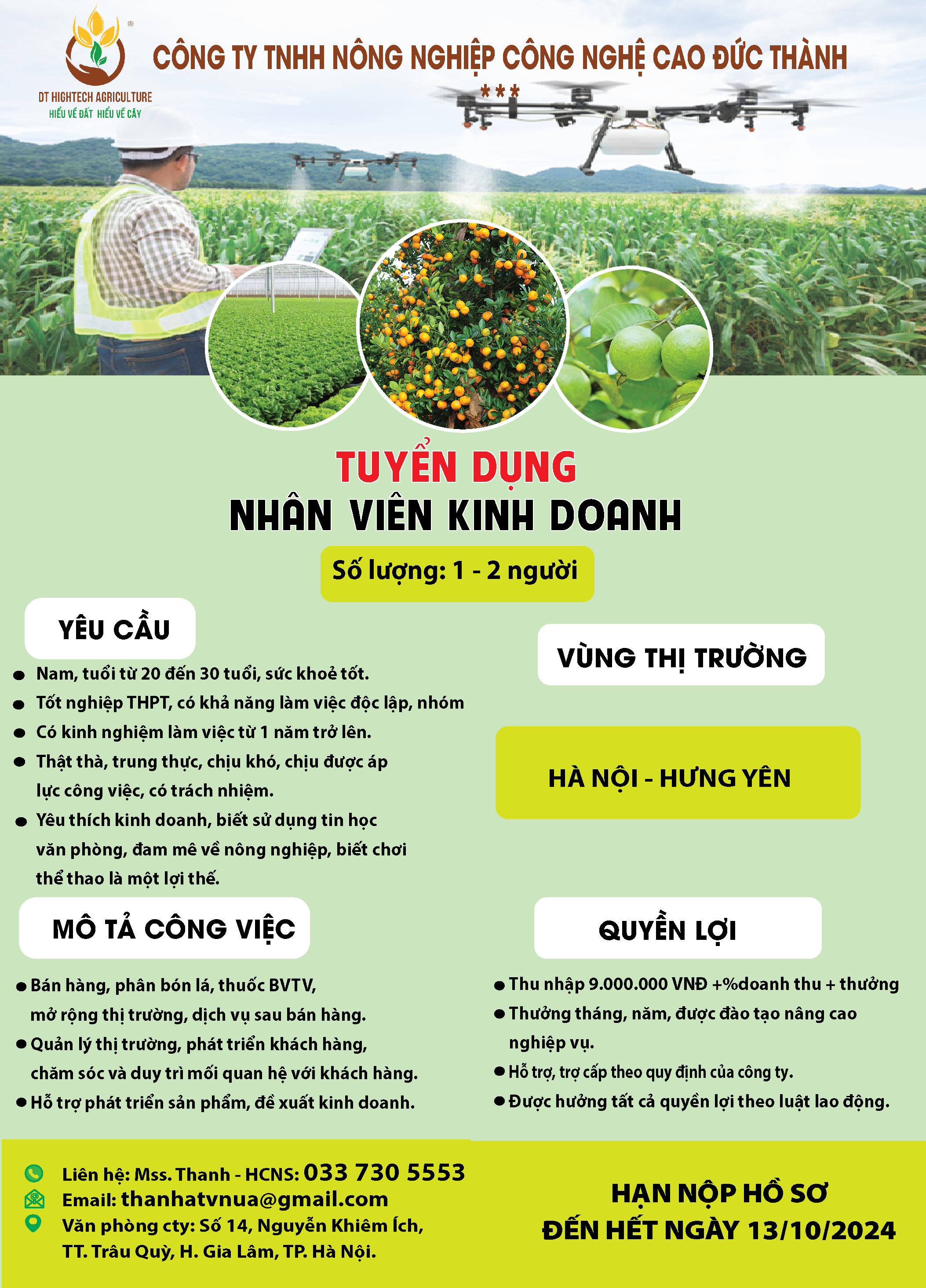 lĩnh vực hoạt động